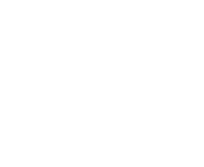 Import Tool Logo